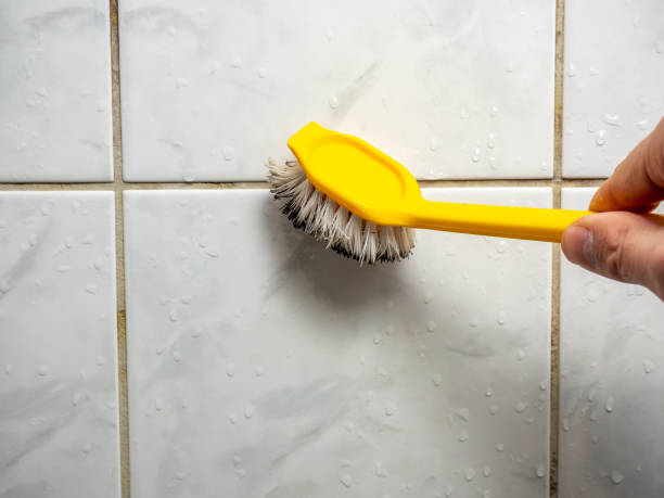 Best Mold Removal Near Me  in Waelder, TX