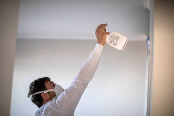 Certified Mold Removal in Waelder, TX