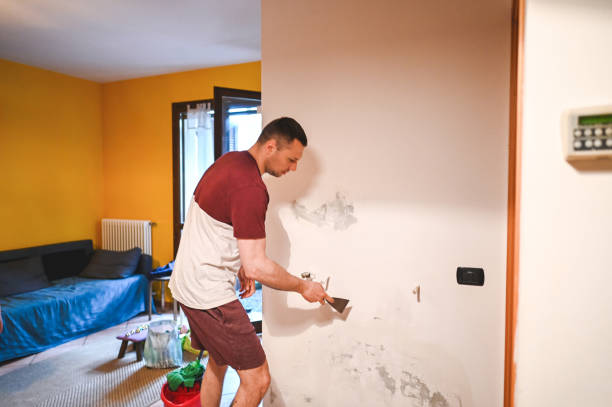 Best Water Damage Restoration  in Waelder, TX